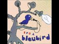 Bleubird - Writer