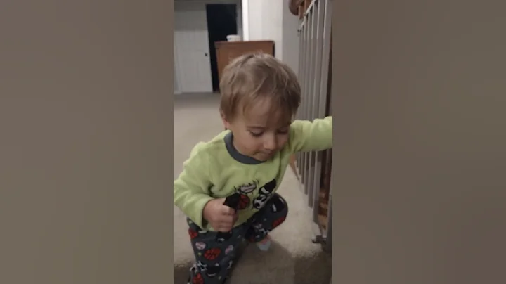 Caelan Harmonica