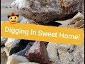 Rockhounding Oregon - Petrified Wood in Sweet Home, Oregon