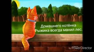 История Огнезвёзда ( события книги "Стань диким" ) История Огнезвёзда ( события книги "Стань диким" )