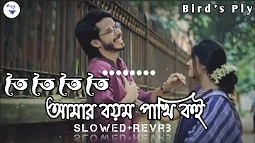 তৈ তৈ তৈ তৈ আমার বয়ম পাখি কই_Toi Toi Toi_Amar Boyam Pakhi Koi Tiktok Trending Song_Bird's Ply  2023