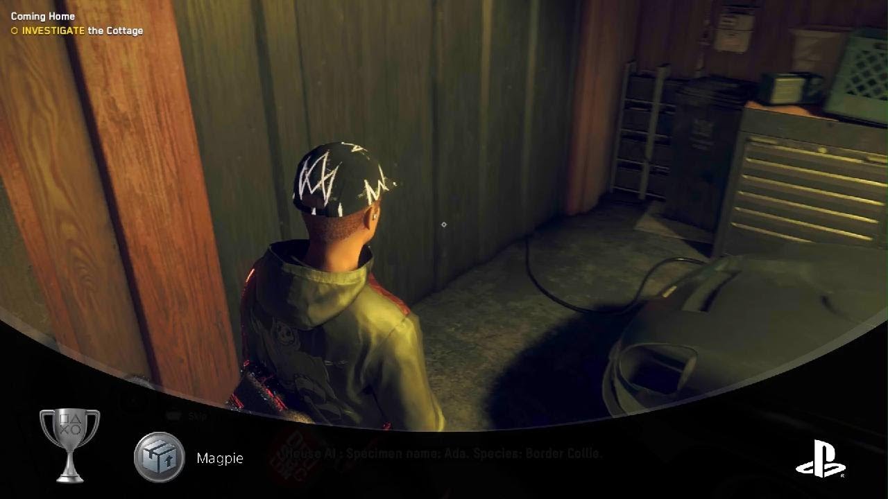 Watch Dogs: Legion: Magpie Trophy