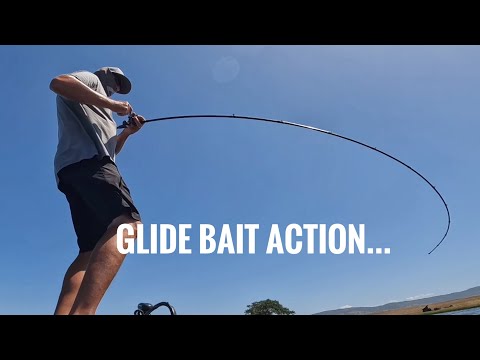 Glide Bait Action From This Spring!