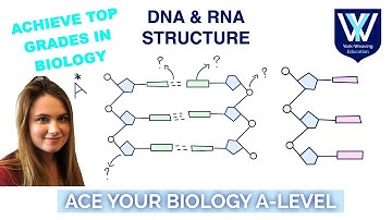 DNA & RNA structure | A-Level Biology Revision Masterclass | AQA, OCR, Edexcel, WJEC