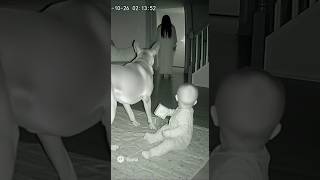 Download Lagu Dog barked ghost for baby #dog #baby #horror #ghost MP3