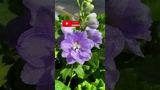 Продолжение на канале #слушатьрассказы #аудиорассказы #слушатьрассказ #рассказыслушать #аудиоистории