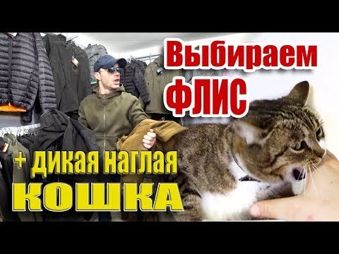 Флисовые куртки и кофты - какая лучше? Тактическая одежда и наглая дикая кошка! ))