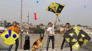 Kite Flying Challenge With Black Dog screenshot 3