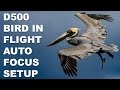 Nikon D500 Bird In Flight Autofocus System Setup