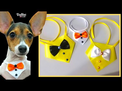 Vídeo: Como fazer uma gravata (com fotos)