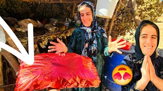 Download Lagu Surprising My Mom with a Magical Winter Gift MP3