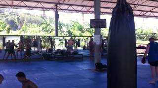 Tiger Muay Thai 2