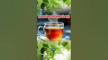 Giảo Cổ Lam: “Trà Trường Thọ” Của Người Nhật – Giảm Mỡ Máu, Tốt Cho Tim Mạch! 🍵💓