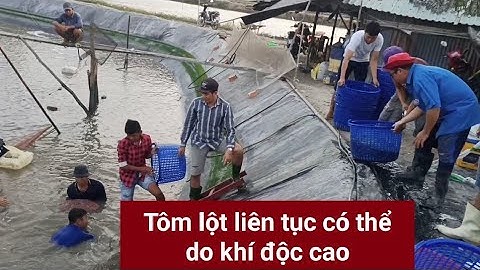 Biện pháp giải quyết khí độc NO2