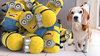 Amazing Compilation of Animated Minions.  Funny Video.