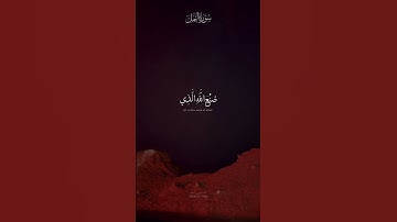 ايات من سورة النمل/ راحة نفسية/ القارئ عبدالرحمن مسعد