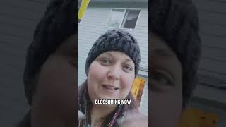 I trust the unseen. I honor my growth. My breakthrough is blossoming now! #peptalks