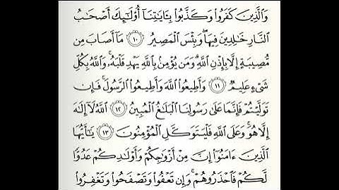 سورة التغابن القارئ صلاح باعثمان