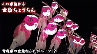 【青森県と山口県の意外な繋がり！】夜の金魚ちょうちんを見に行ってきた！青森県の金魚ねぶたに似ている…。山口県の金魚ちょうちん。(プチ散策/柳井・麗都路通りの金魚ちょうちん)