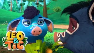 Leo and Tig 🦁 Cuba in Love 🐯 Funny Family Good Animated Cartoon for Kids by Leo and Tig 21,540 views 3 months ago 1 hour, 3 minutes