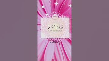 اسلام صبحي || لو أنزلنا هذا القران || سورة الحشر
