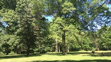 Parrot Bebop Drone Altitude Problem.