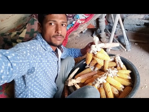 Makkai nikhorane ka full trick #tricks #nitishlocalvlogs