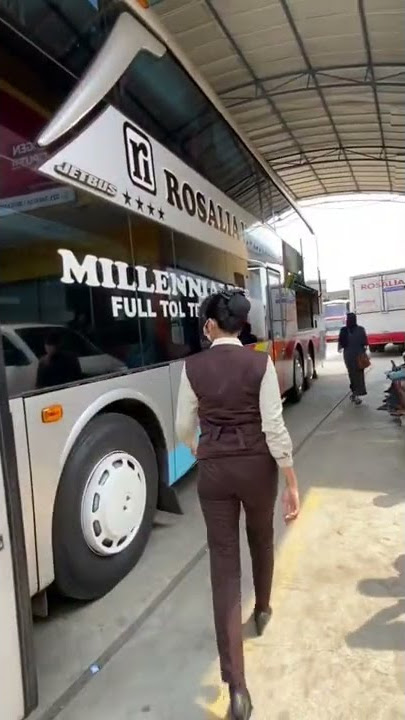 versi Hanum Ayune || pramugari Rosalia Indah #story #rosaliaindah