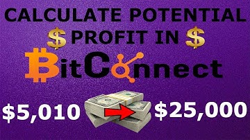 Calculate Potential Profit in BitConnect | HYIP Money Calculator