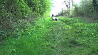 Run! Run! Run! by isobelkim 78 views 11 years ago 8 seconds