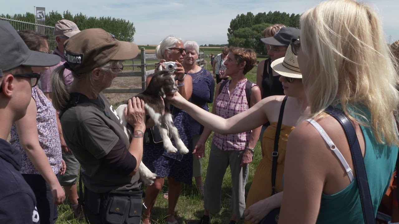 Fête des Parrains et Marraines chez Animaux en Péril - YouTube