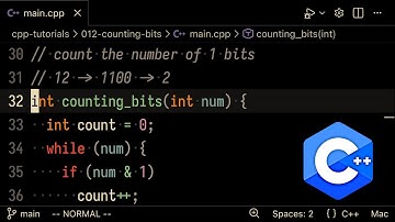 Hoe tel je bits in C++?
