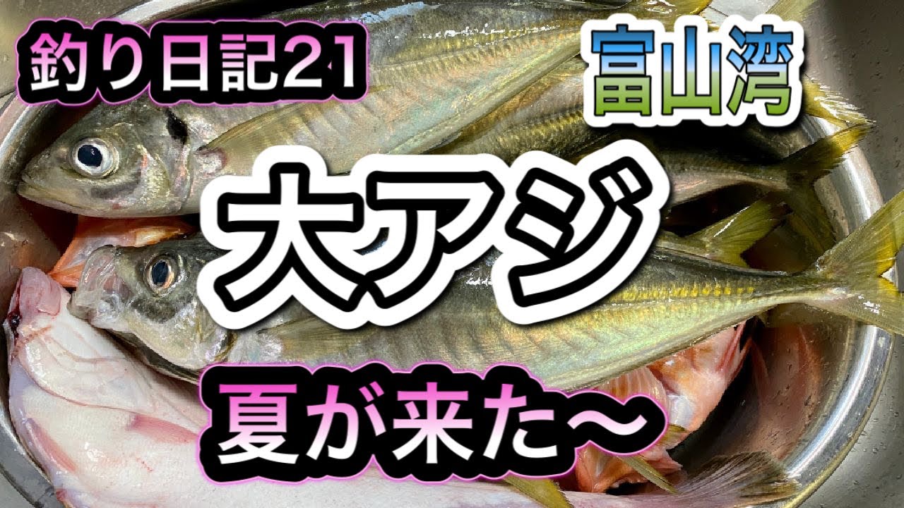 富山湾に夏が来た 大アジ狙いだ Youtube