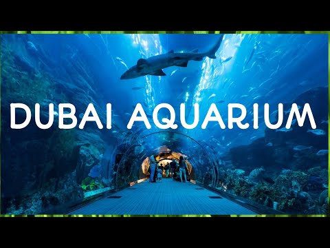 Dubai Mall Aquarium 🇦🇪 | Dubai Aquarium Tour Vlog 2023|Dubai Aquarium and Underwater Zoo|Sk Vlogs