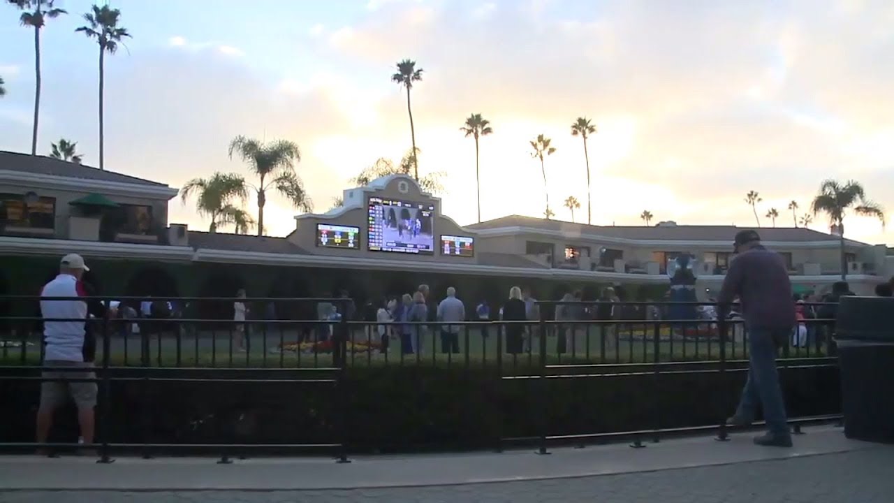Two Horses Die, Another is Injured on Third Day of Racing in Del Mar