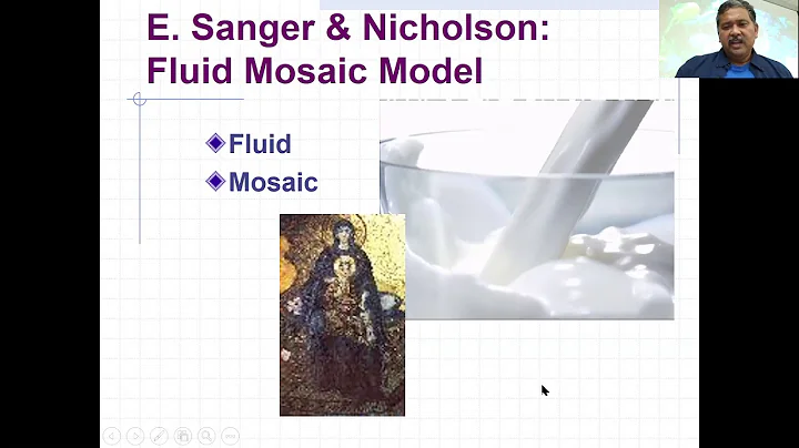 Lecture Diffusion and Osmosis