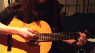 Boom Boom Boom - Vengaboys (acoustic cover)