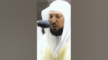 قرآن كريم بصوت جميل