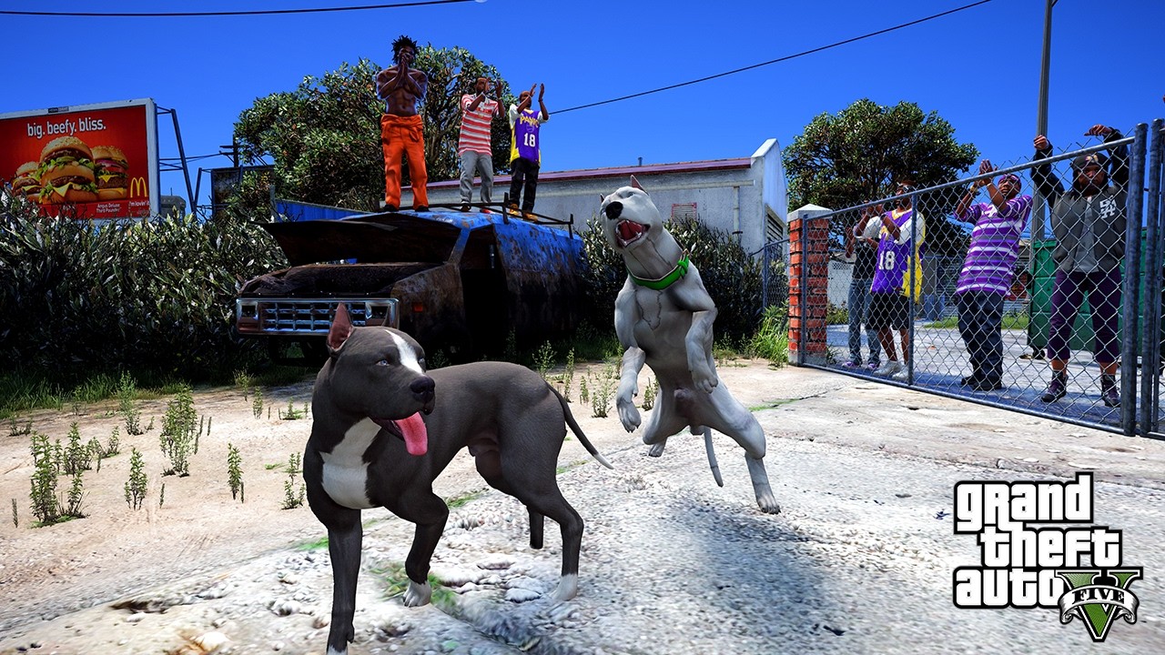 TERMİNATÖR HAPİSHANEDEN GELEN PİTBULL ASKER'LE DÖVÜŞÜYOR! - GTA 5