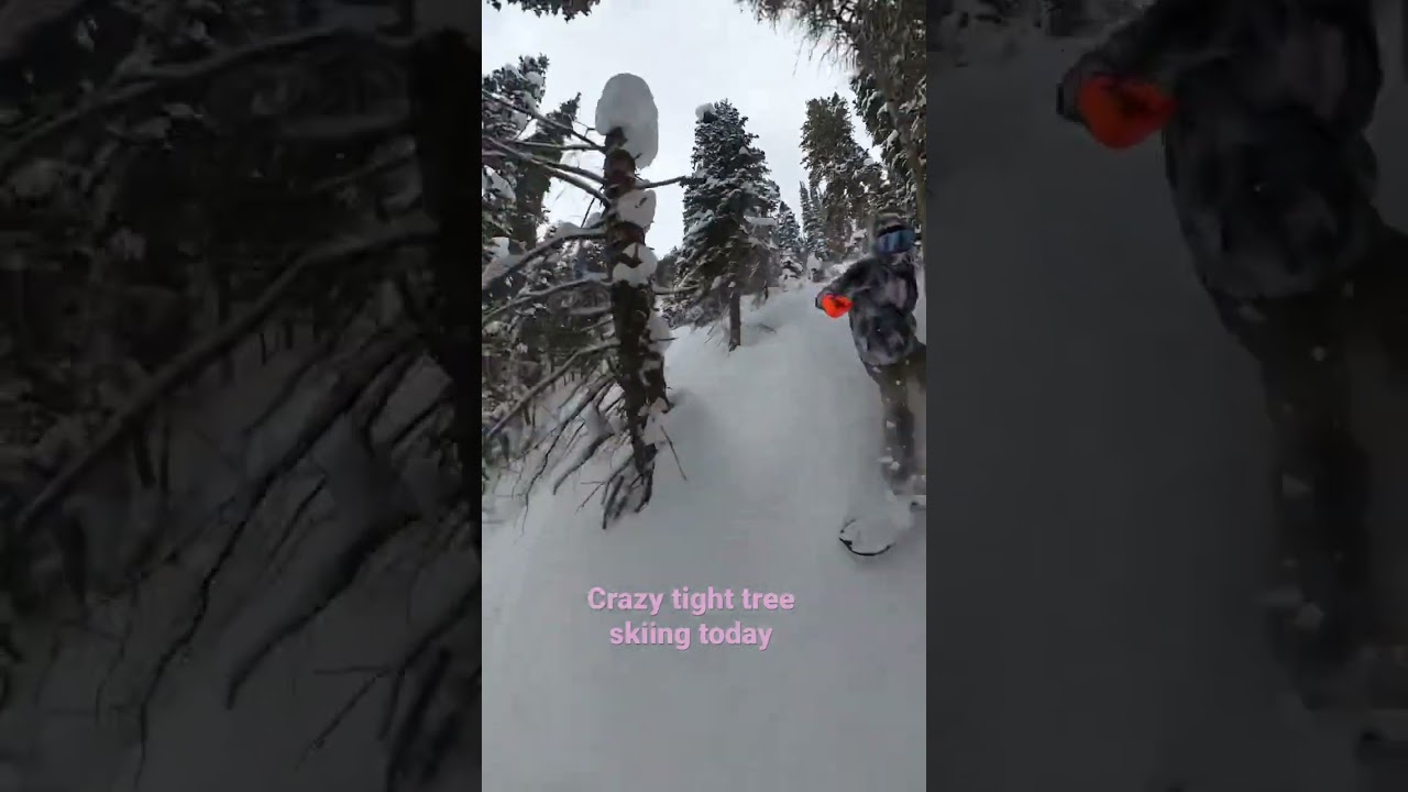WATCH: Crazy tight tree skiing today #shorts #snowboarding #avalanche #insta360onex2 #splitboarding