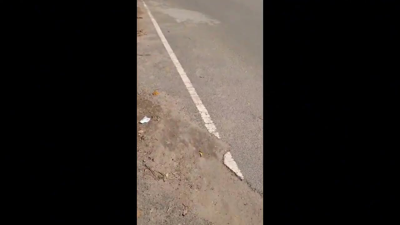 TODAY MY WALKING BIKE vloggers