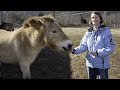 Audio Description - Women Creating Conservation: Melissa Songer