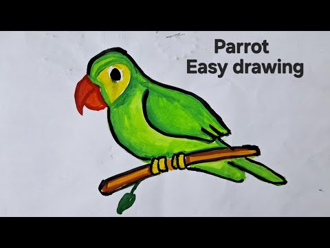 easy parrot drawing step by step