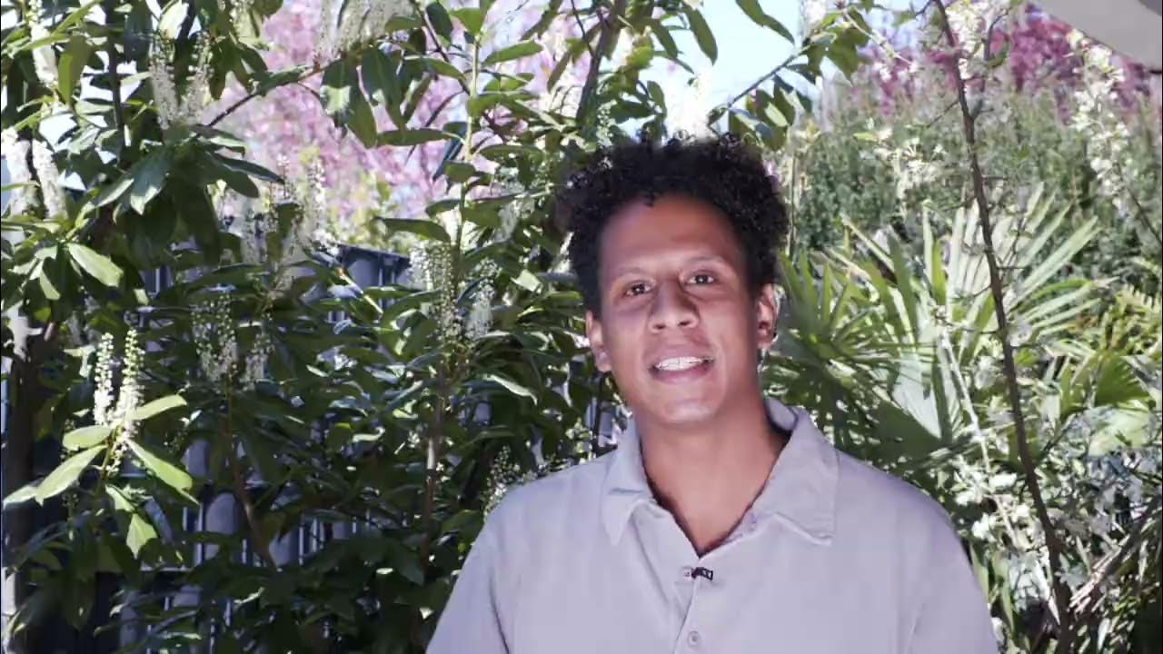 Bauxite Mining in Jamaica's Rainforest (CockpitCountry) YouTube