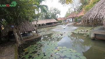 Bất Ngờ Ghé Mô Hình Câu Cá Giải Trí  Quán Ăn Gia Đình ở Làng Quê Hút Khách Thành Phố