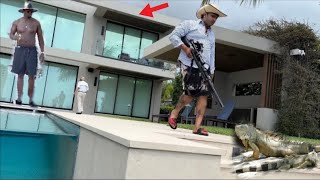Iguanas taking over million Dolla homes: iguana Trapping P Diddy’s House!