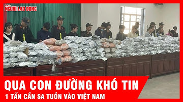 Truy quét đường dây ma túy "khủng" nhất năm: 1 tấn cần sa tuồn vào Việt Nam  | Tin tức