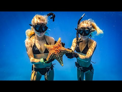 Video: Where to Go Snorkling Runt Miami