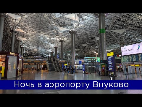 Ночь в аэропорту Внуково