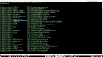 [Destemido] Fivem BYPASS for MANUAL Napse/Echo/Ocean Any PC CHECK
